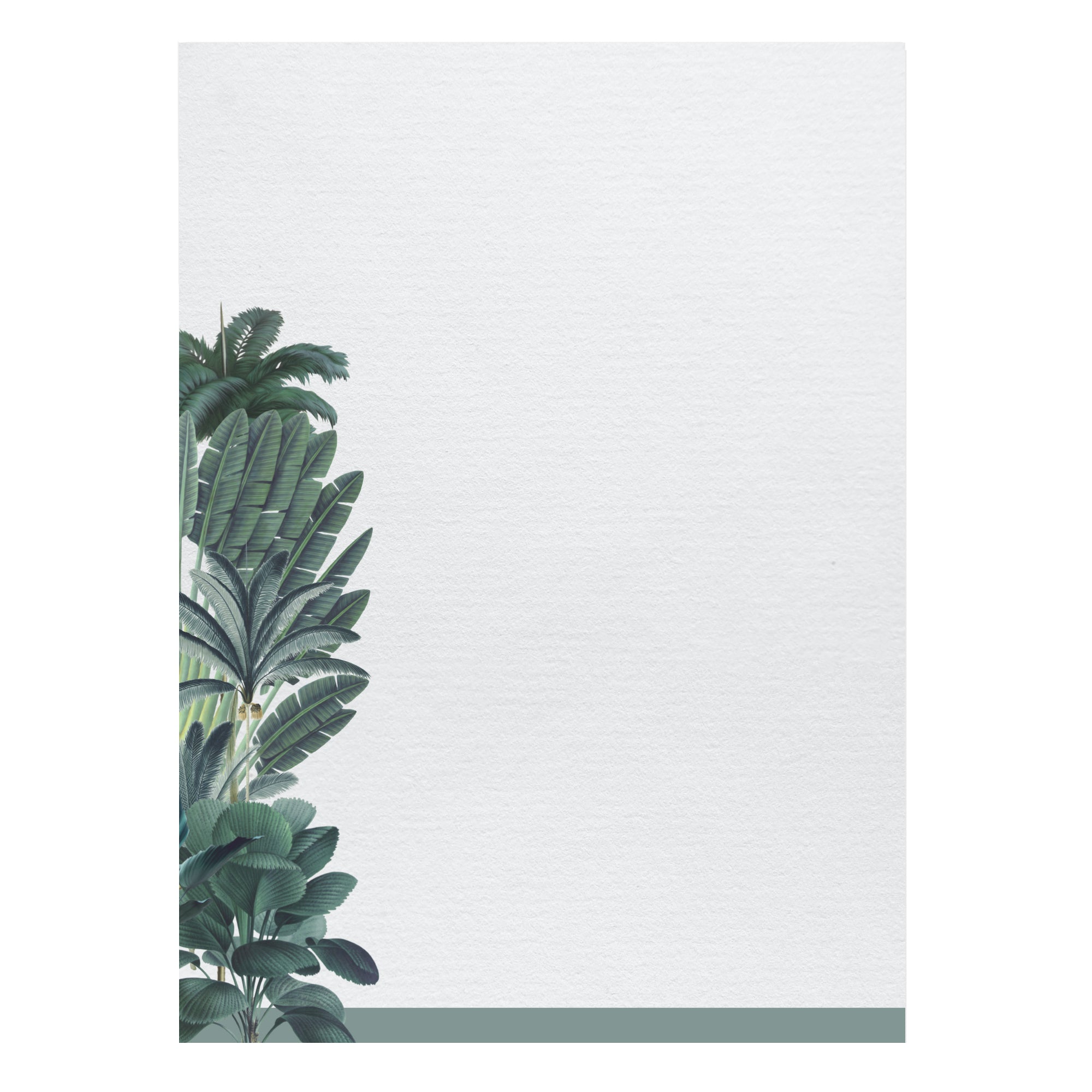 a white sheet of paper with a green plant on it