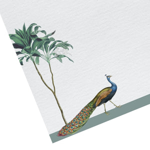 Darwin Peacock Letter Paper - Laid A5 Writing Paper