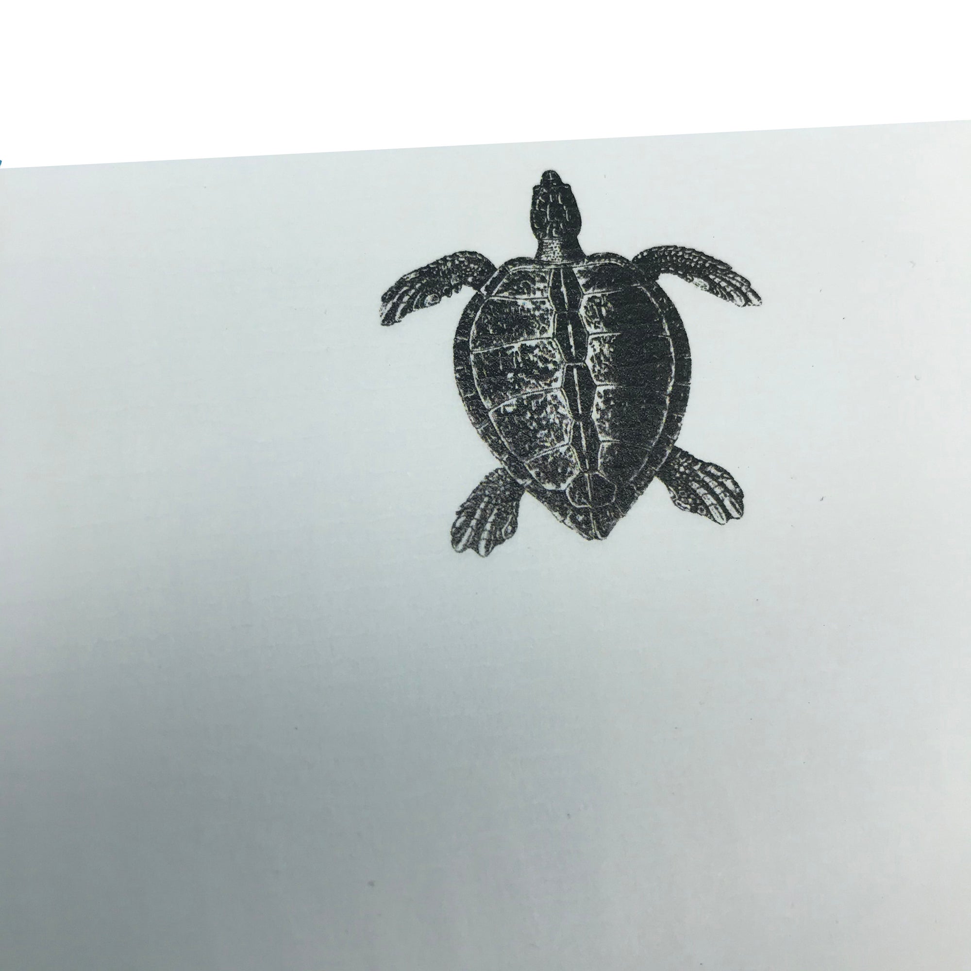 Turtle Letter Paper - Laid A5 Writing Paper