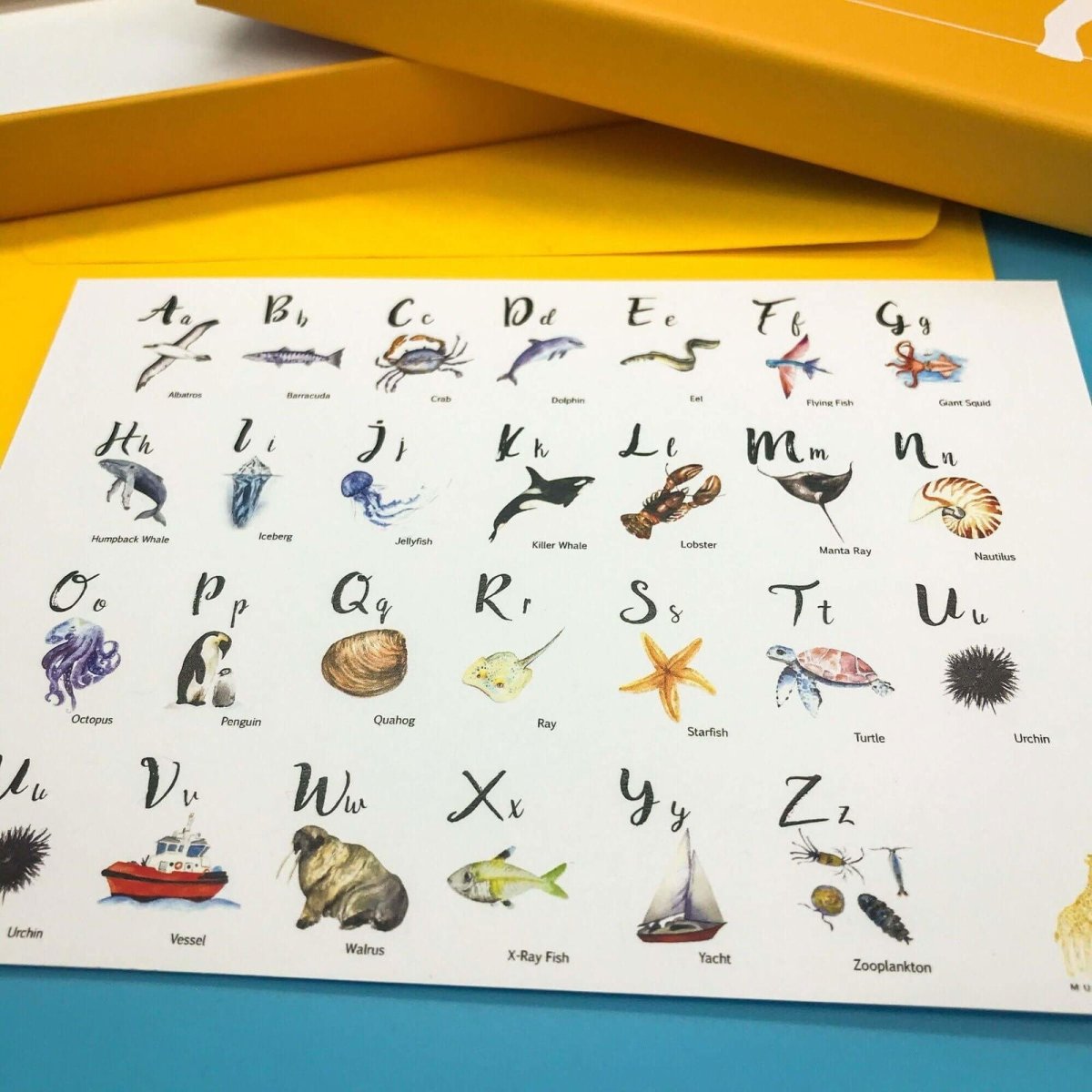 ABC Sealife Notecard Set - Mustard and Gray Ltd