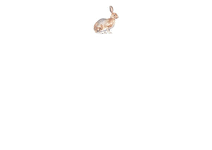 Bunny Notecard Set - Mustard and Gray Ltd