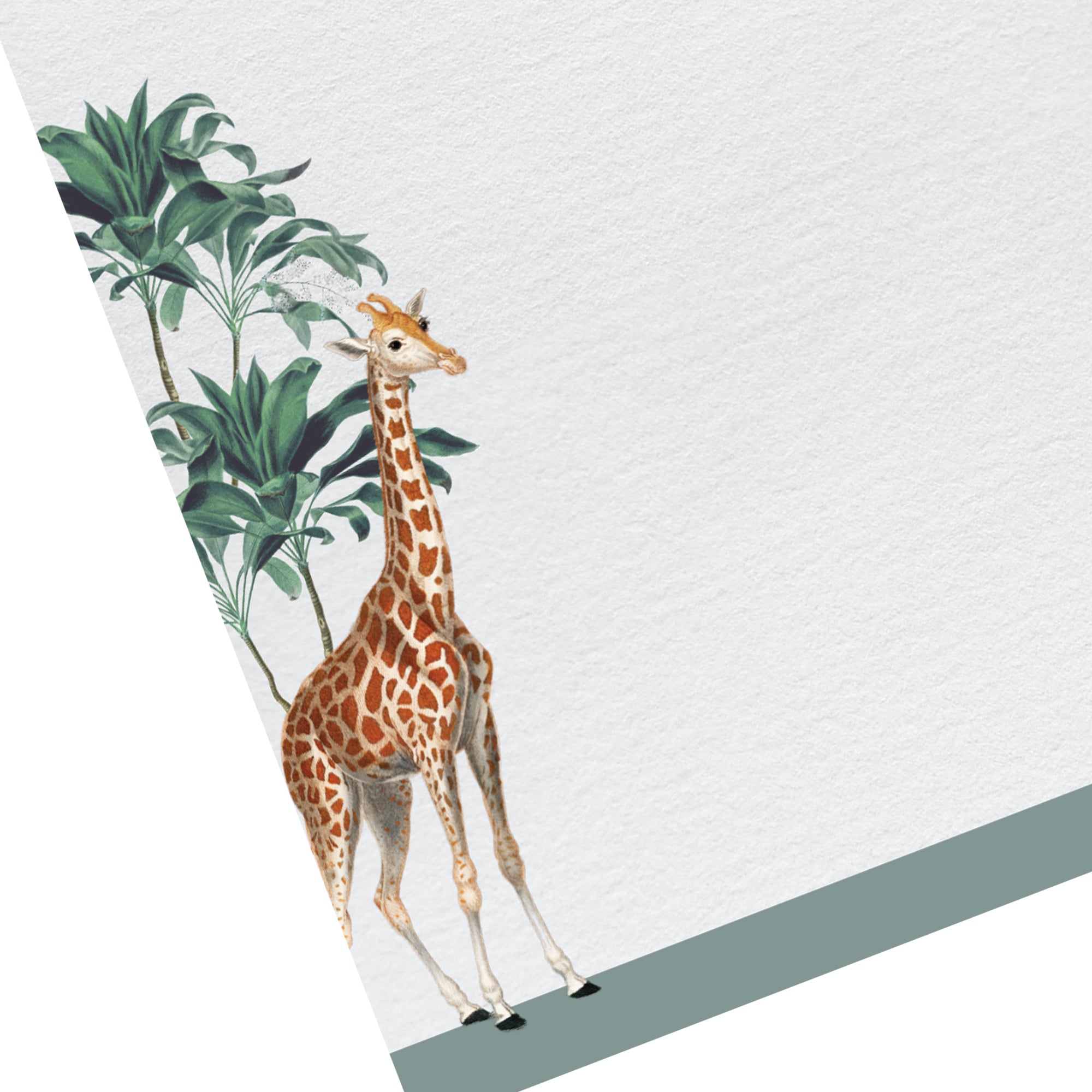 Darwin Giraffe Letter Paper - Laid A5 Writing Paper