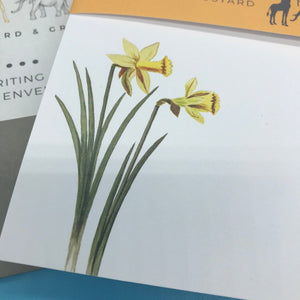 Daffodil Letter Paper - Wove A5 Writing Paper - Mustard and Gray Ltd