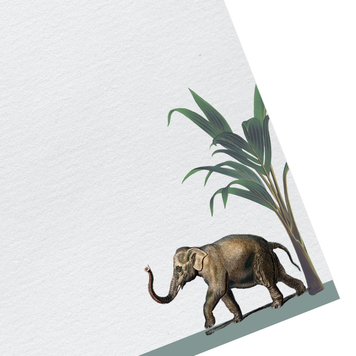 Darwin Elephant Lined Letter Paper - Laid A5 Writing Paper - Mustard and Gray Ltd