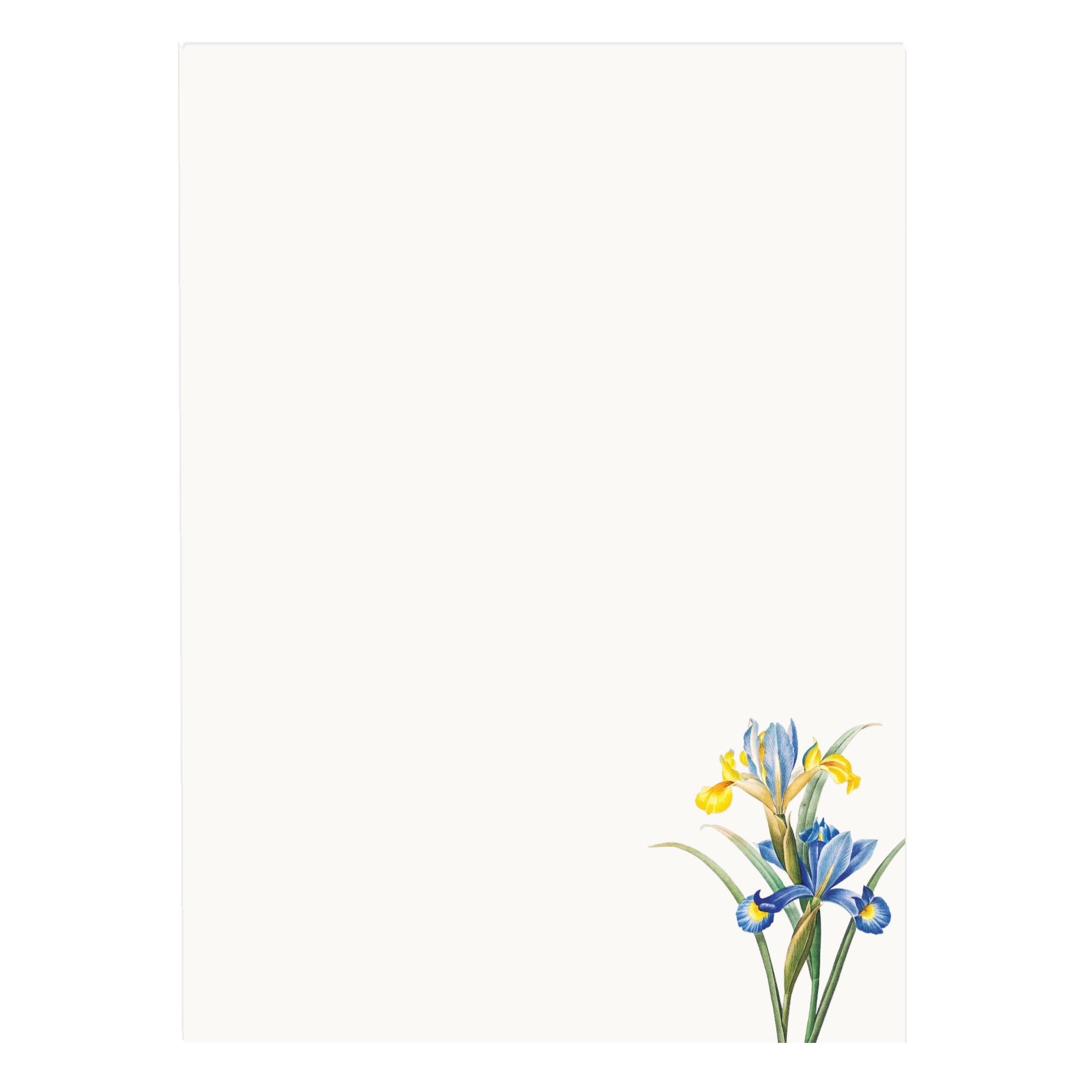 a blue and yellow flower on a white background