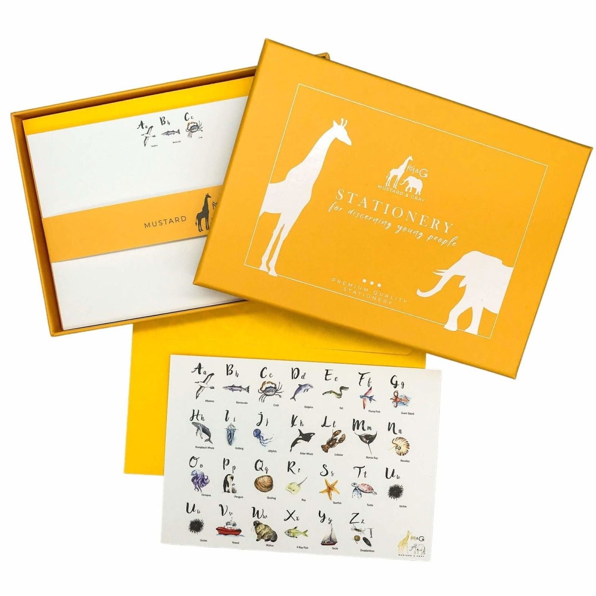 ABC Sealife Notecard Set - Mustard and Gray Ltd