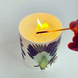 Darwin's Menagerie Candle "Effete" - Mustard and Gray Ltd