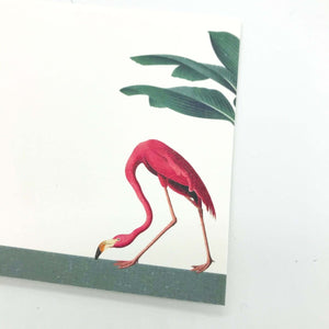 Darwin's Menagerie "Foraging Flamingo" Notecard Set with Laid Envelopes - Mustard and Gray Ltd