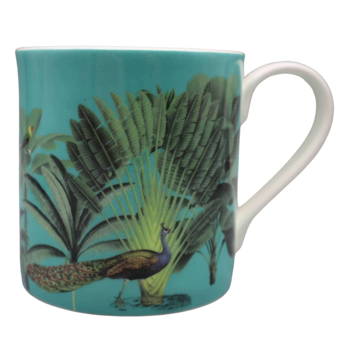 Darwin's Menagerie Green Mug - Mustard and Gray Ltd