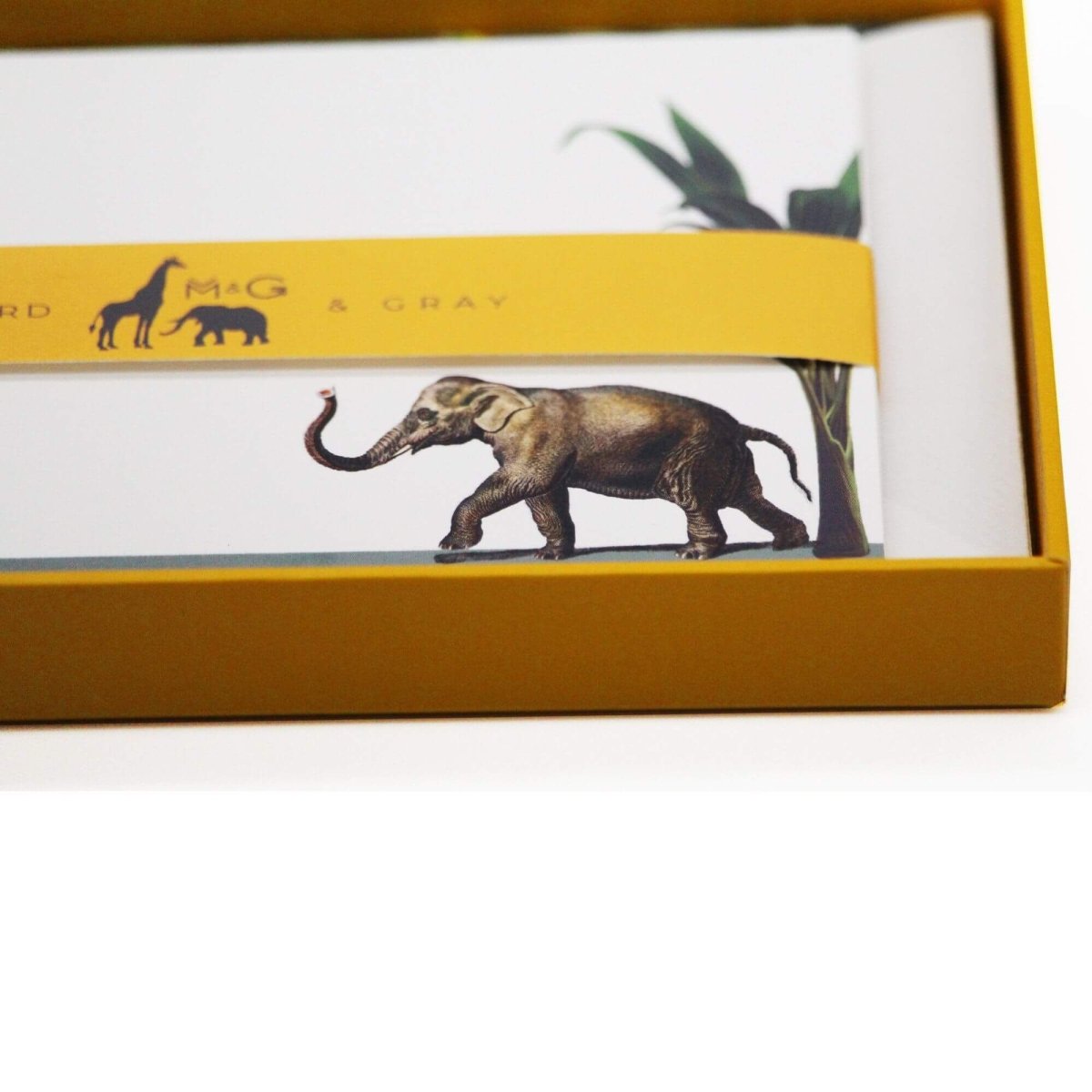 Darwin's Menagerie "Hasty Elephant" Notecard Set with Laid Envelopes - Mustard and Gray Ltd