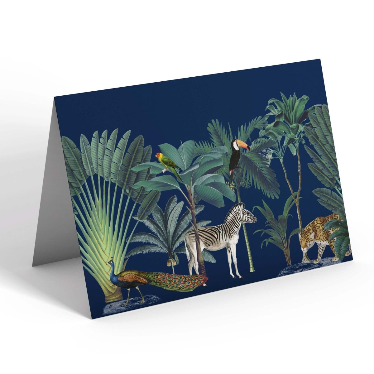 Darwin's Menagerie Navy Greetings Card - Mustard and Gray Ltd