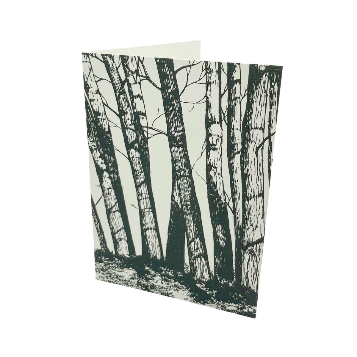 Silver Birch Greetings Card - Mustard and Gray Ltd